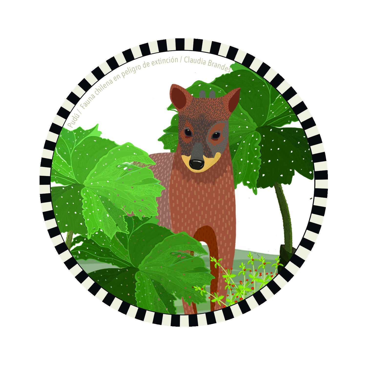 Set 6 Posavasos Fauna chilena en peligro (6 ilustraciones diferentes )
