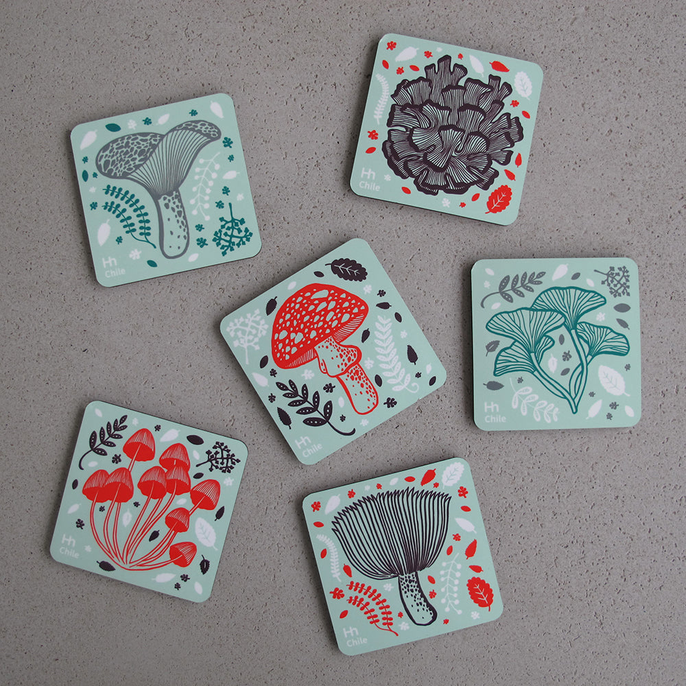 SET 6 POSAVASOS / REINO FUNGI