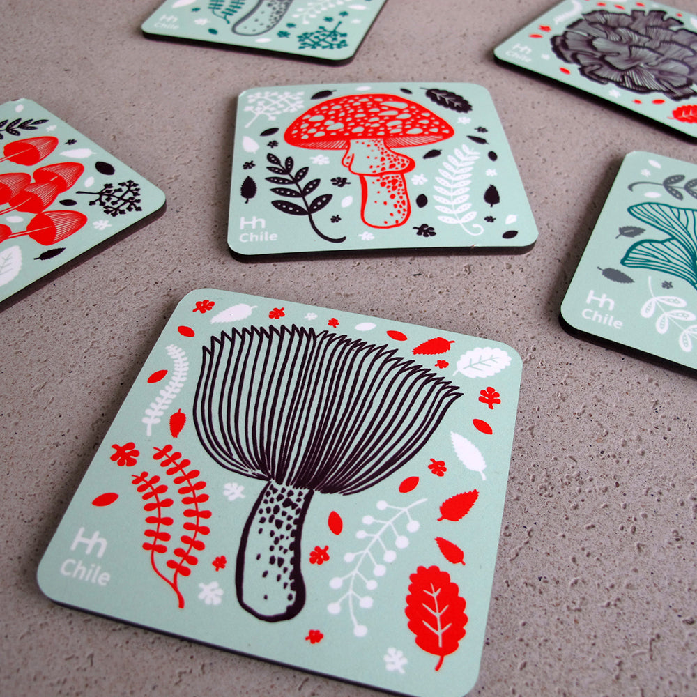 SET 6 POSAVASOS / REINO FUNGI