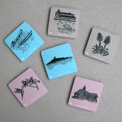 SET 6 POSAVASOS / ZAPALLAR