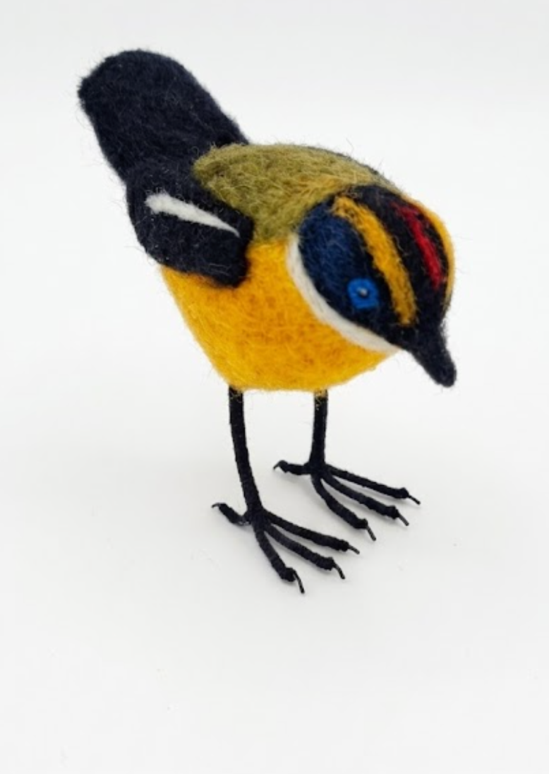 Aves Chilenas de Fieltro- Siete Colores - ULMMO