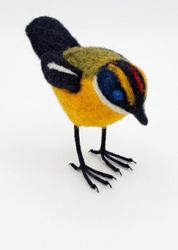 Aves Chilenas de Fieltro- Siete Colores - ULMMO