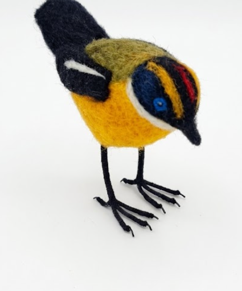 SieteColores1_454d30e6-5b0a-417d-980f-54e1572e65b6.png