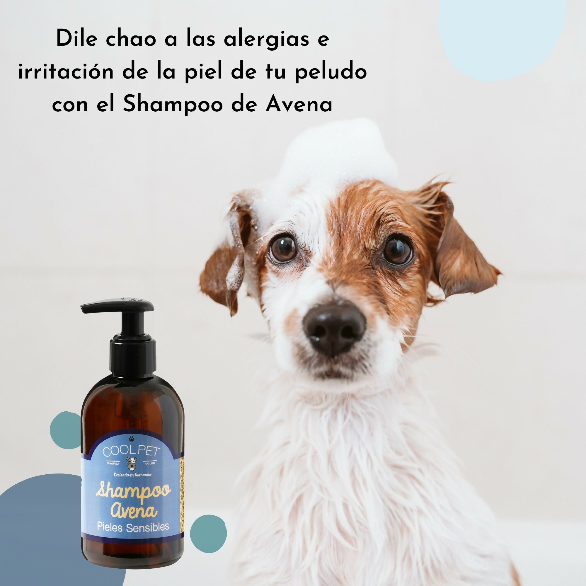 Shampoo Avena ficha emocional