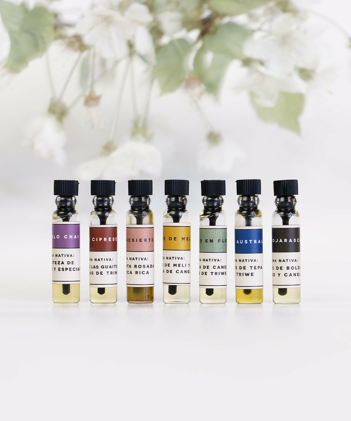 bruma-tester-0-todos