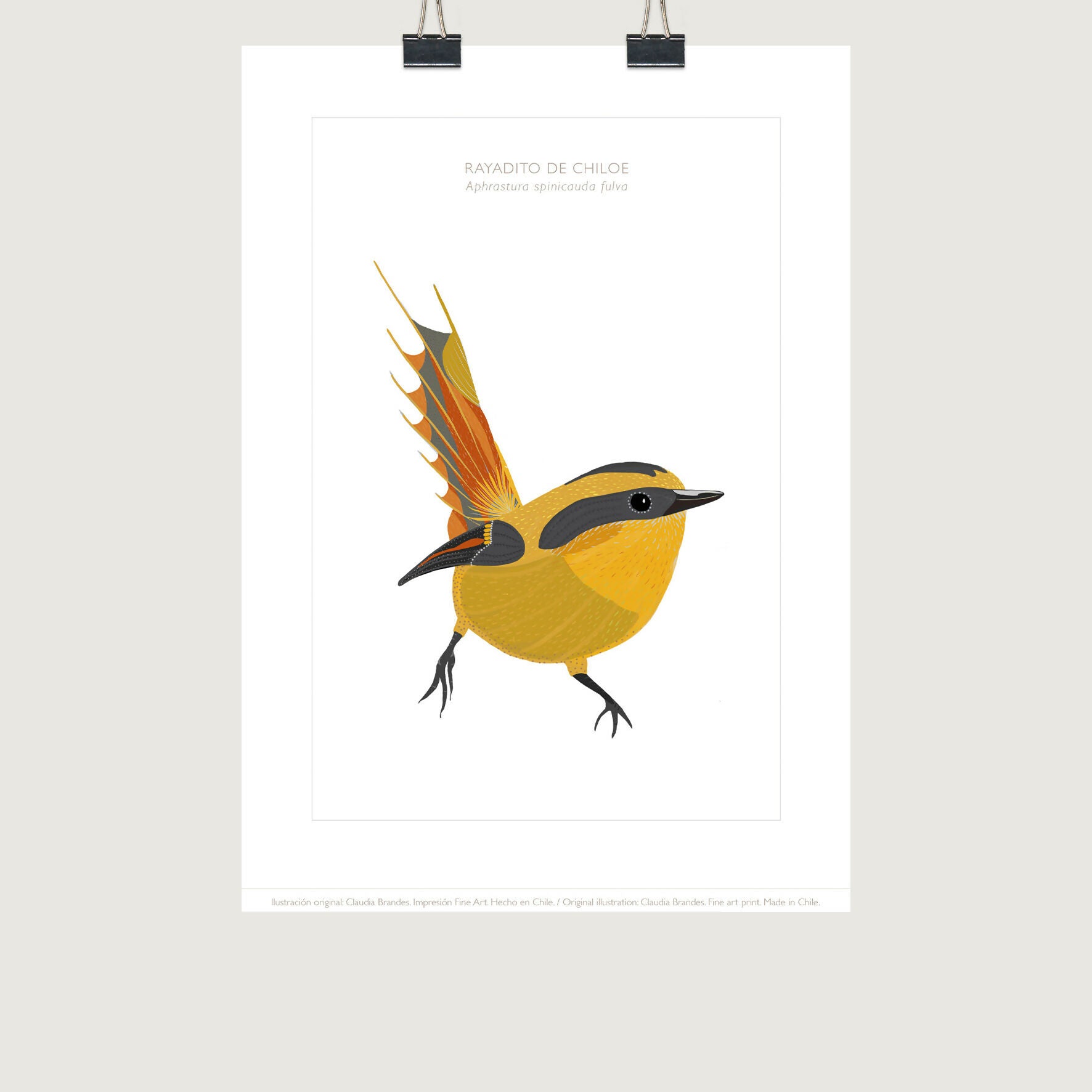 20x30 rayadito lamina