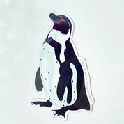 POST IMAN PINGUINO DE H