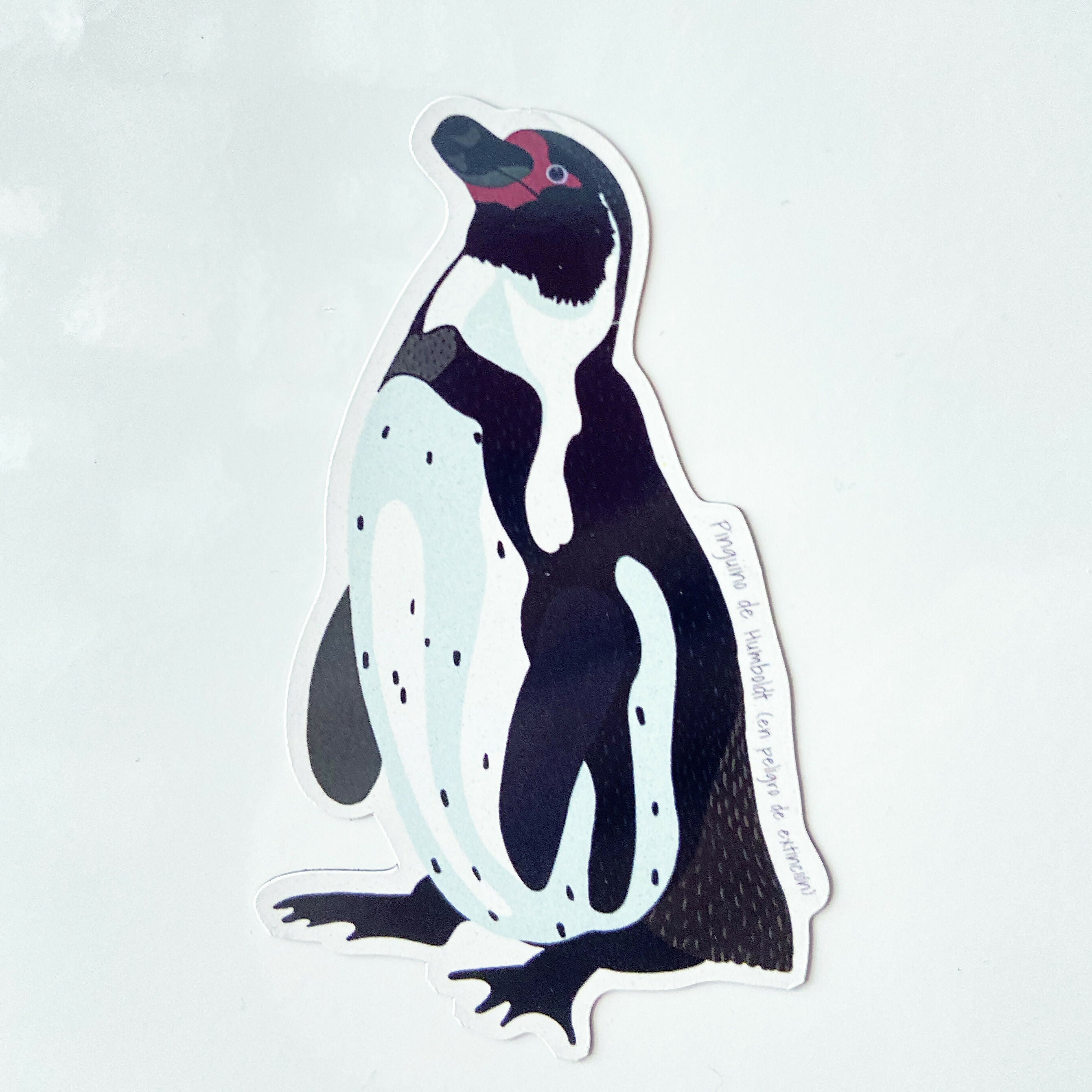 POST IMAN PINGUINO DE H