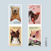 MaquetasMamíferos-03