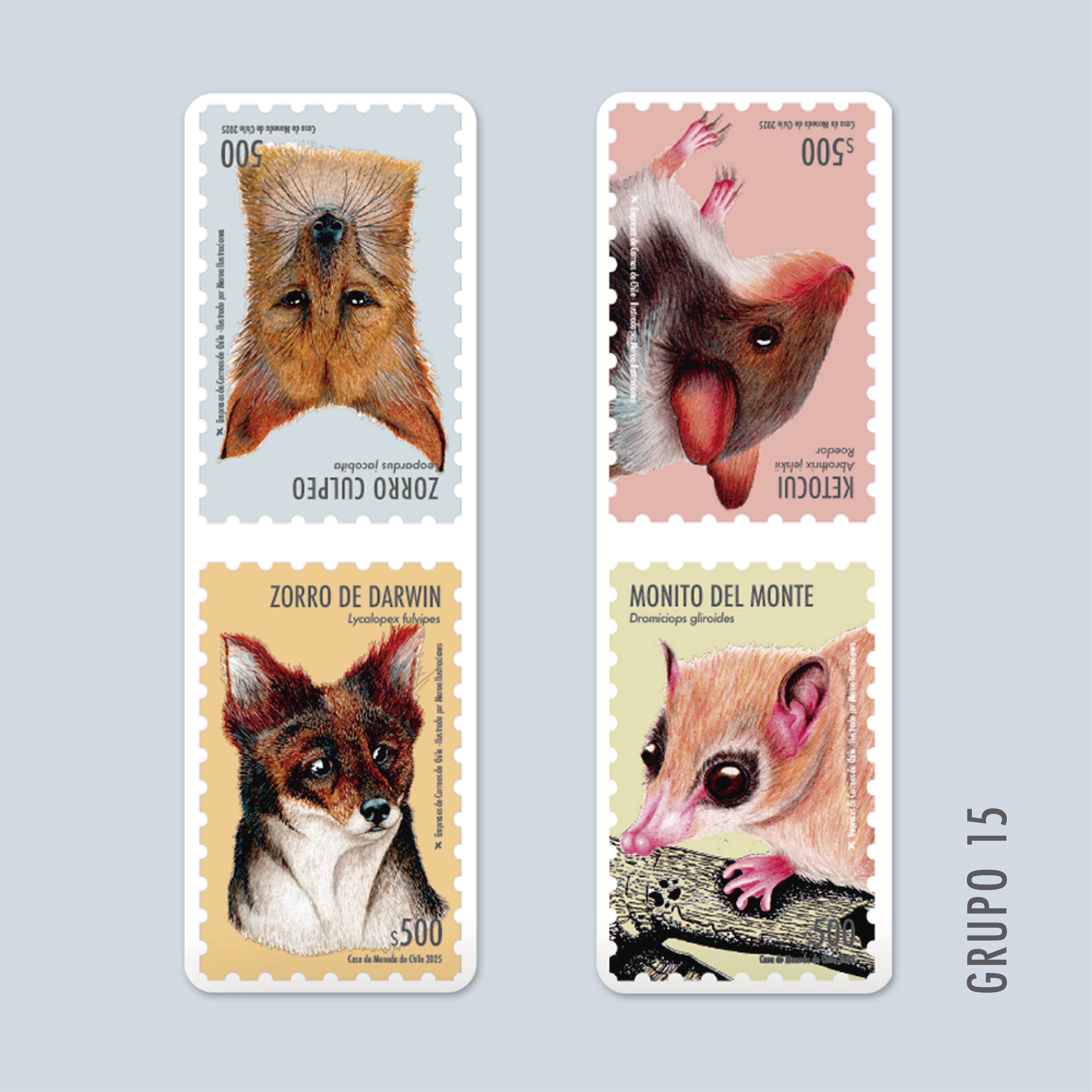 MaquetasMamíferos-03