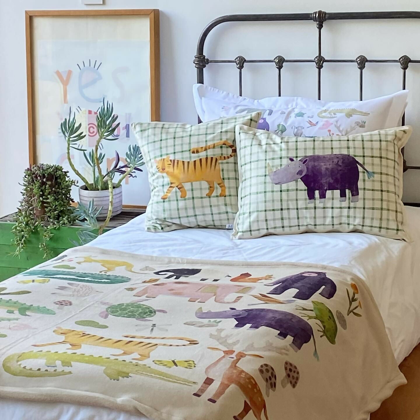 Manta - Piecera Polar Wild Life