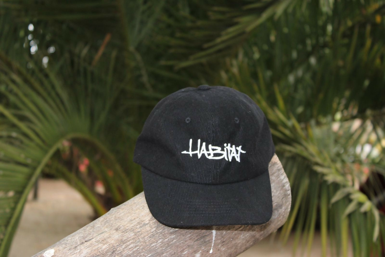 Jockey HABITAT BLACK- cotele