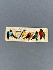 Marcalibros Aves de Chile