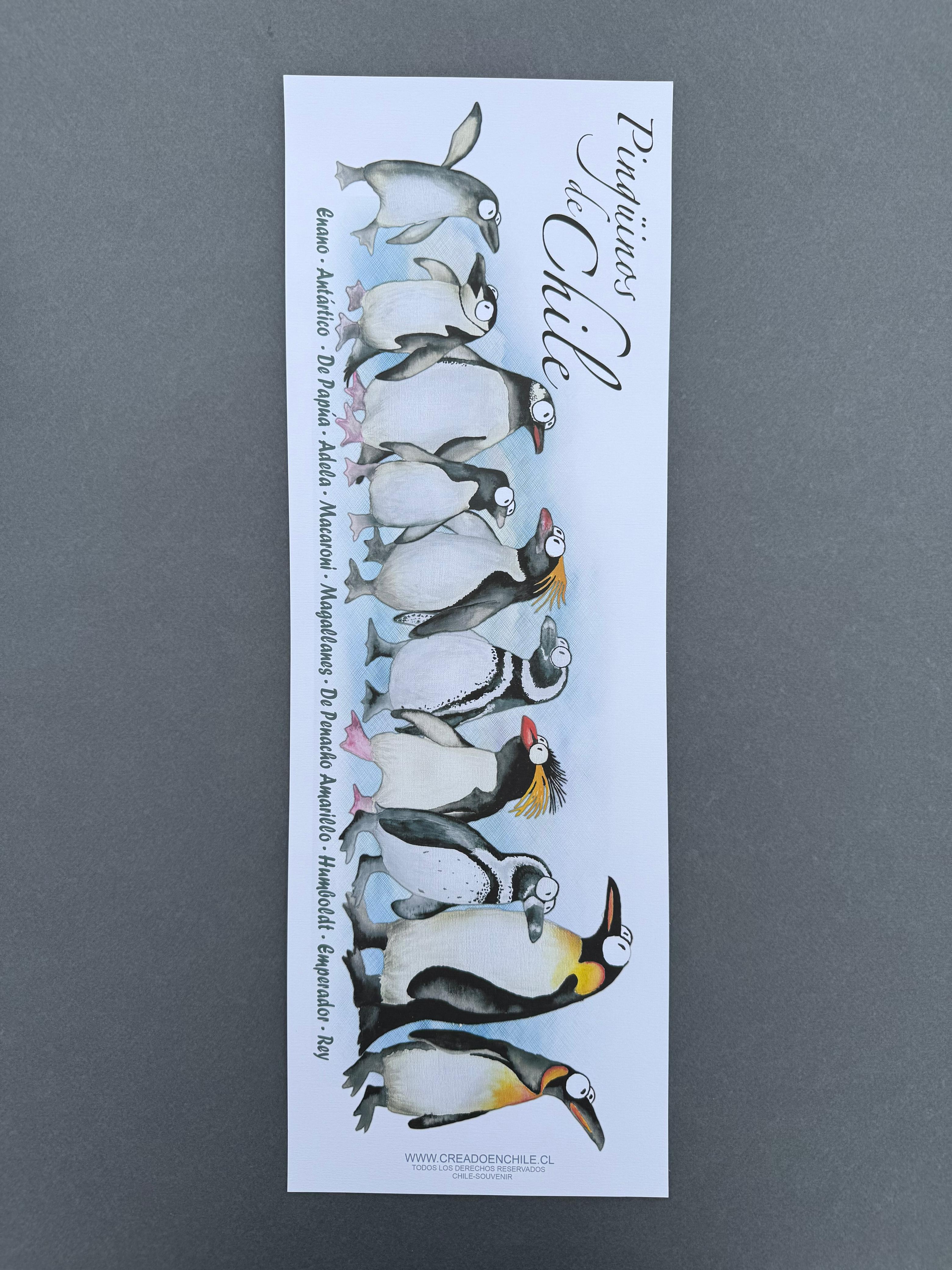 Lámina Pingüinos de Chile - papel fine art 19 x 55 cm
