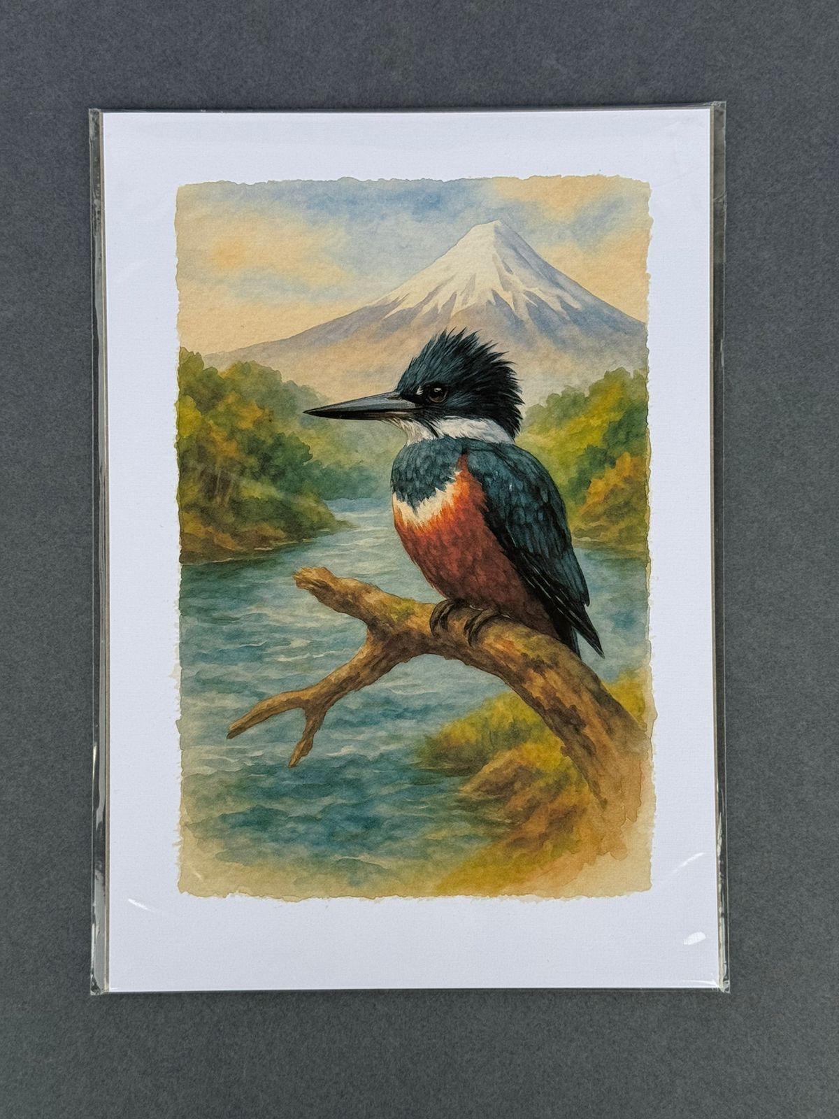 Lámina  Martín Pescador - papel texturado fine art 19x27 cm