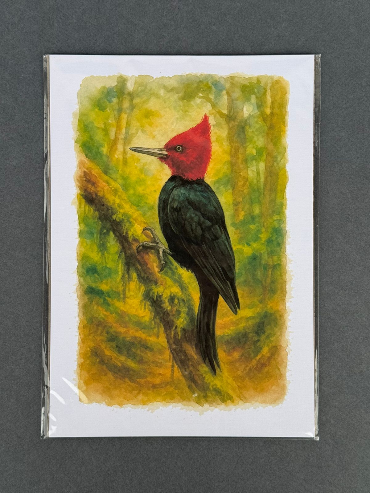 Lámina  Pájaro Carpintero - papel texturado fine art 19x27 cm