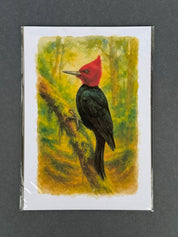 Lámina  Pájaro Carpintero - papel texturado fine art 19x27 cm