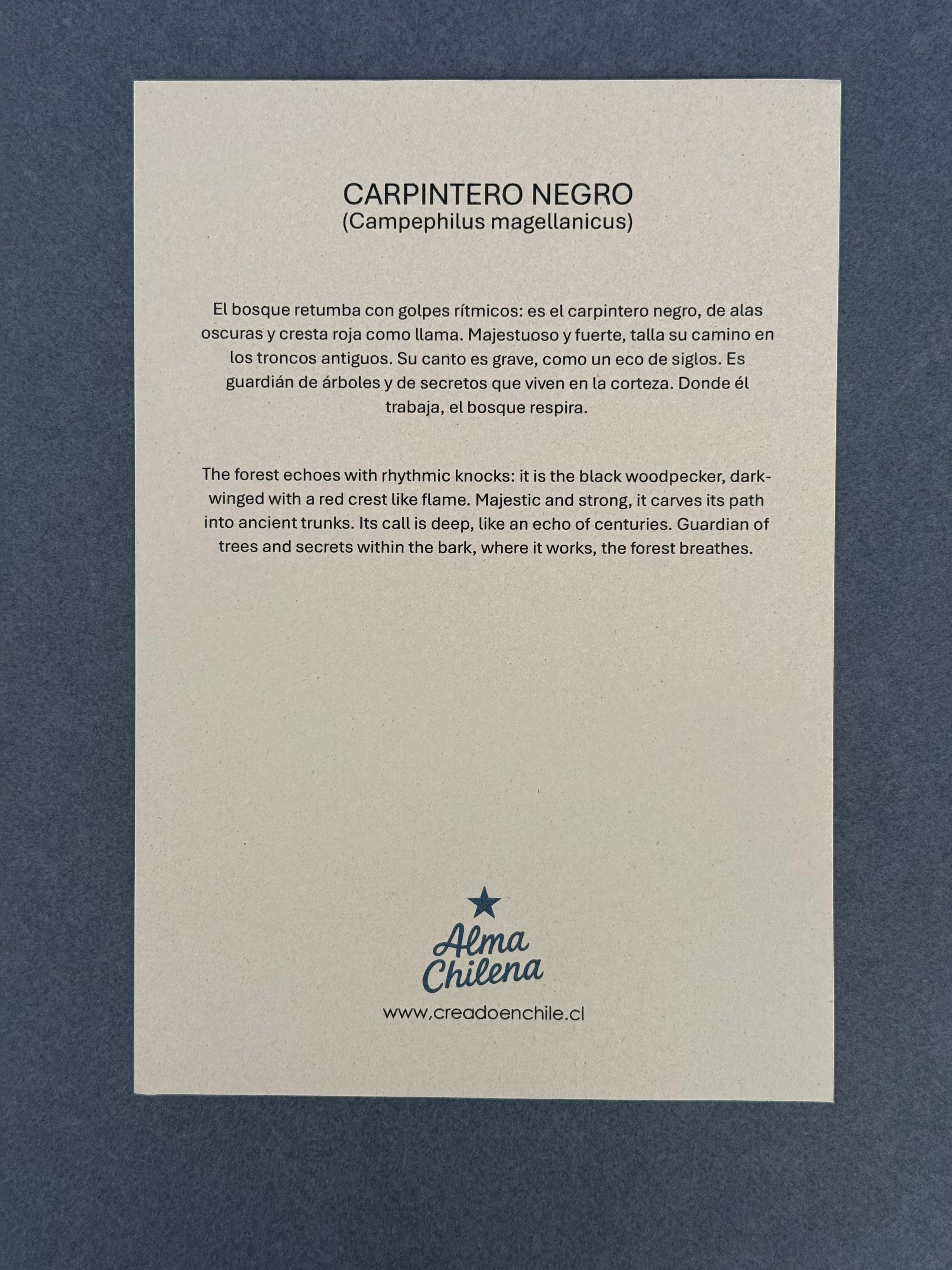 Lámina  Pájaro Carpintero - papel texturado fine art 19x27 cm
