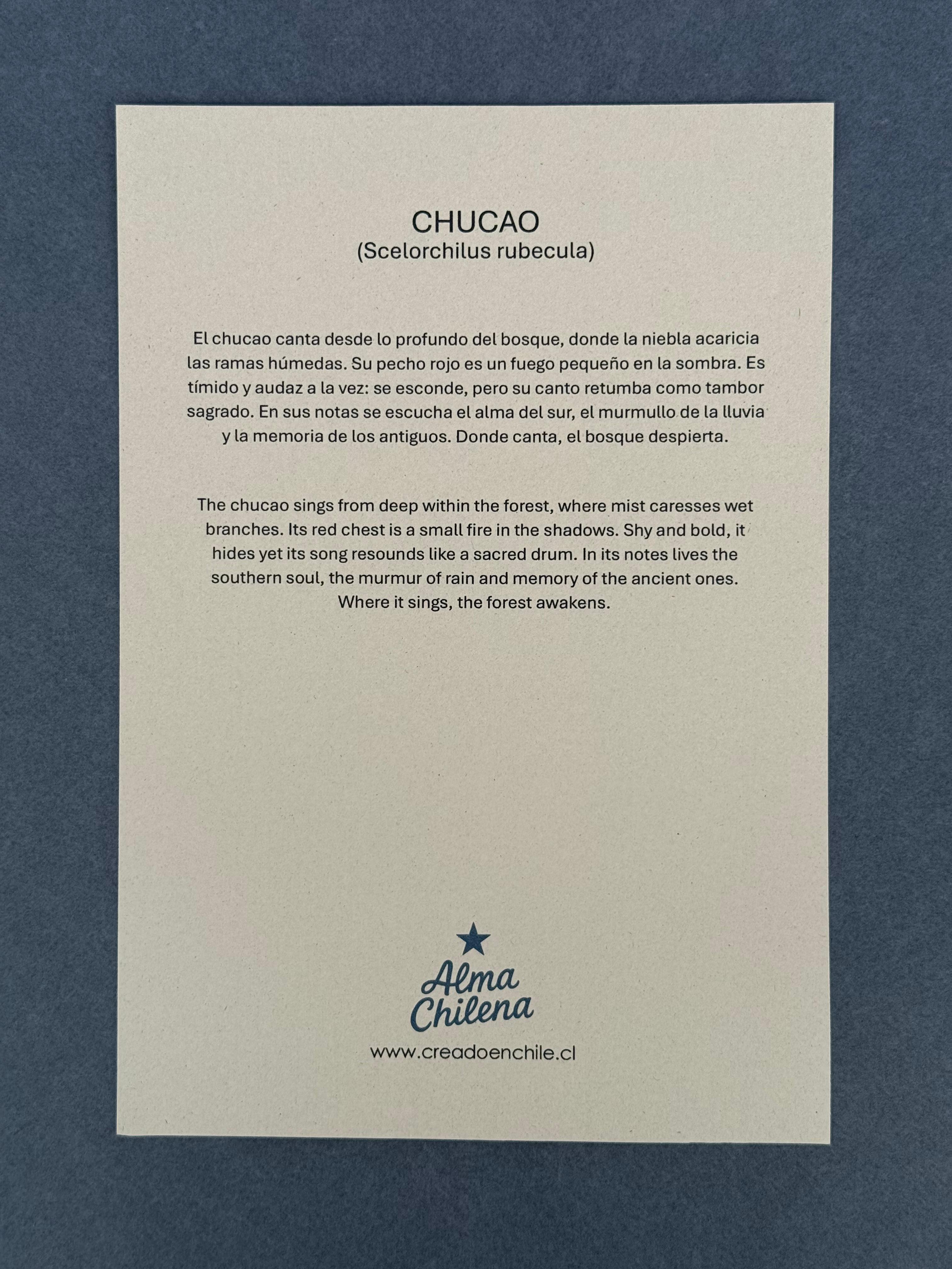 Lámina Chucao - papel texturado fine art 19x27 cm