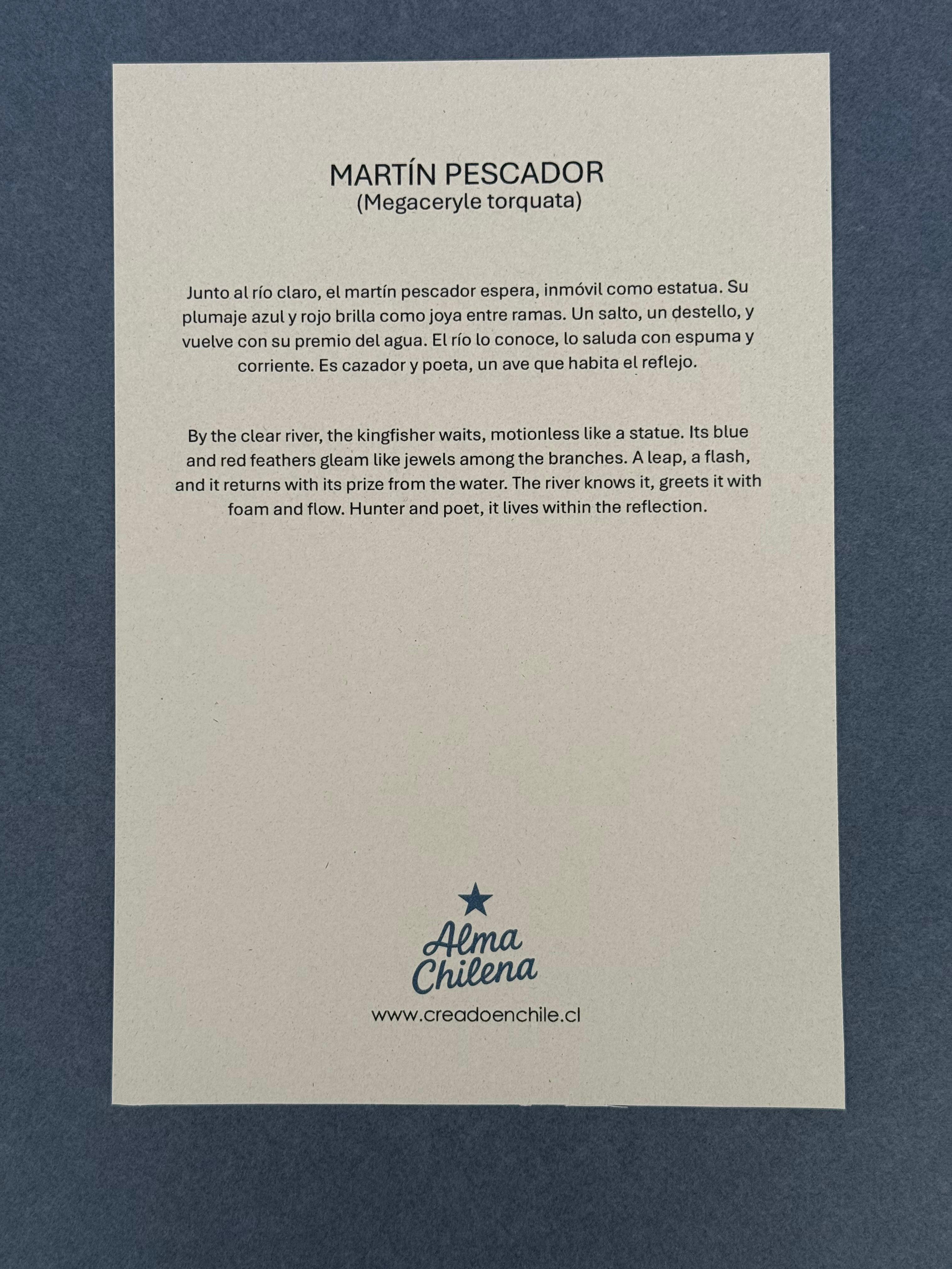 Lámina  Martín Pescador - papel texturado fine art 19x27 cm