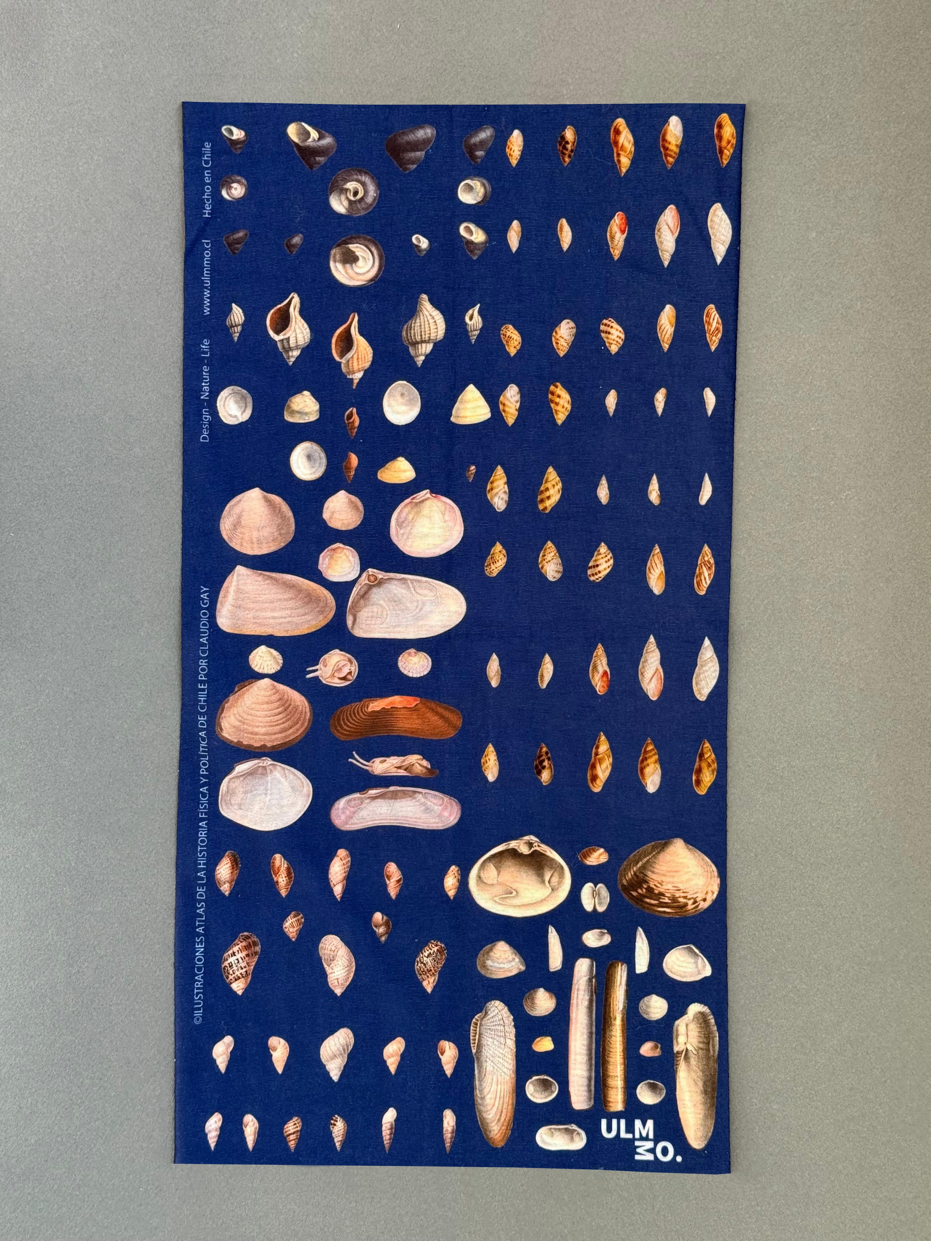 BANDANA CONCHITAS DE CHILE