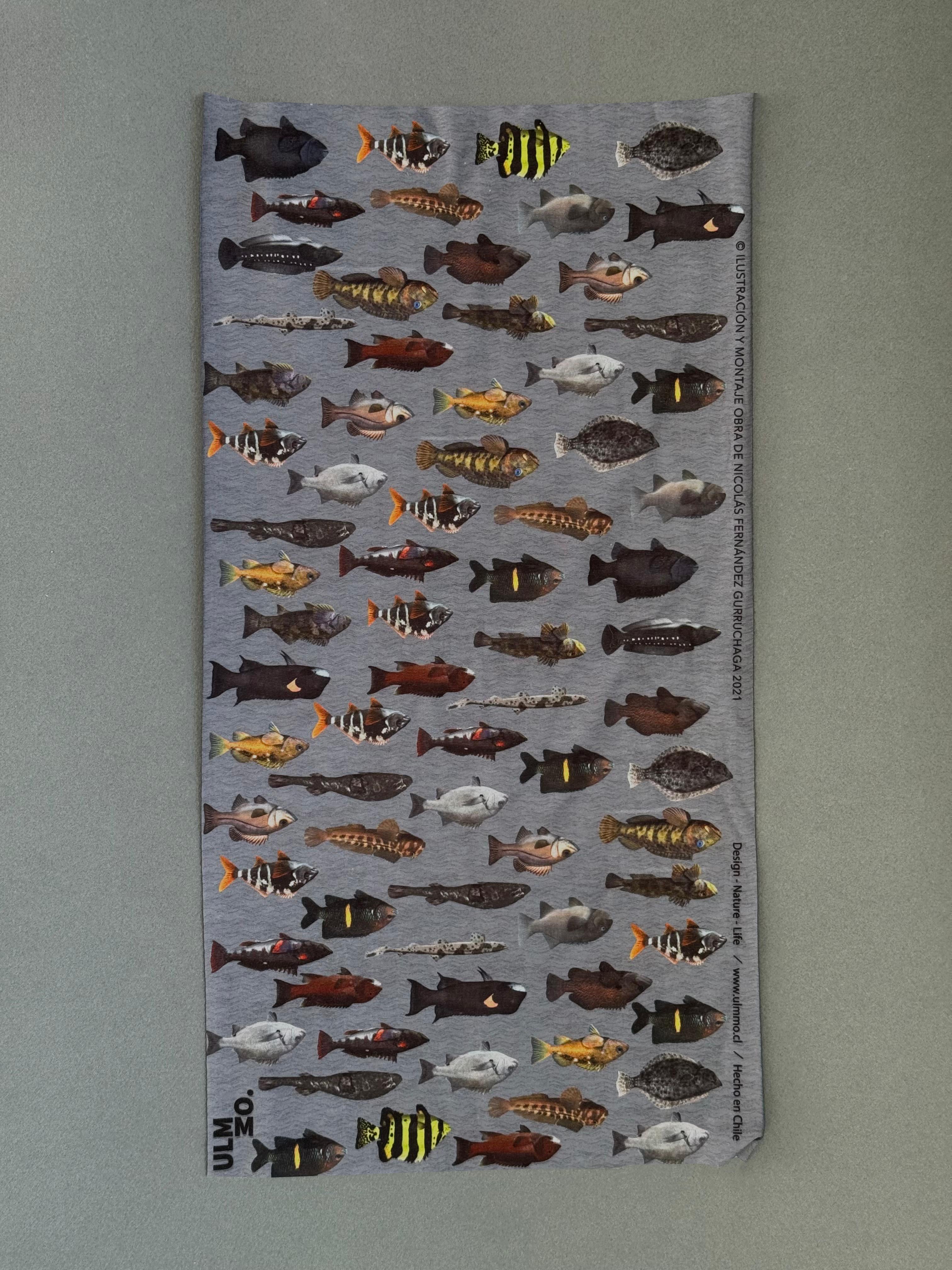 BANDANA PECES DE CHILE