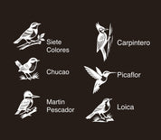 POSAVASOS PALENA - AVES CHILENAS