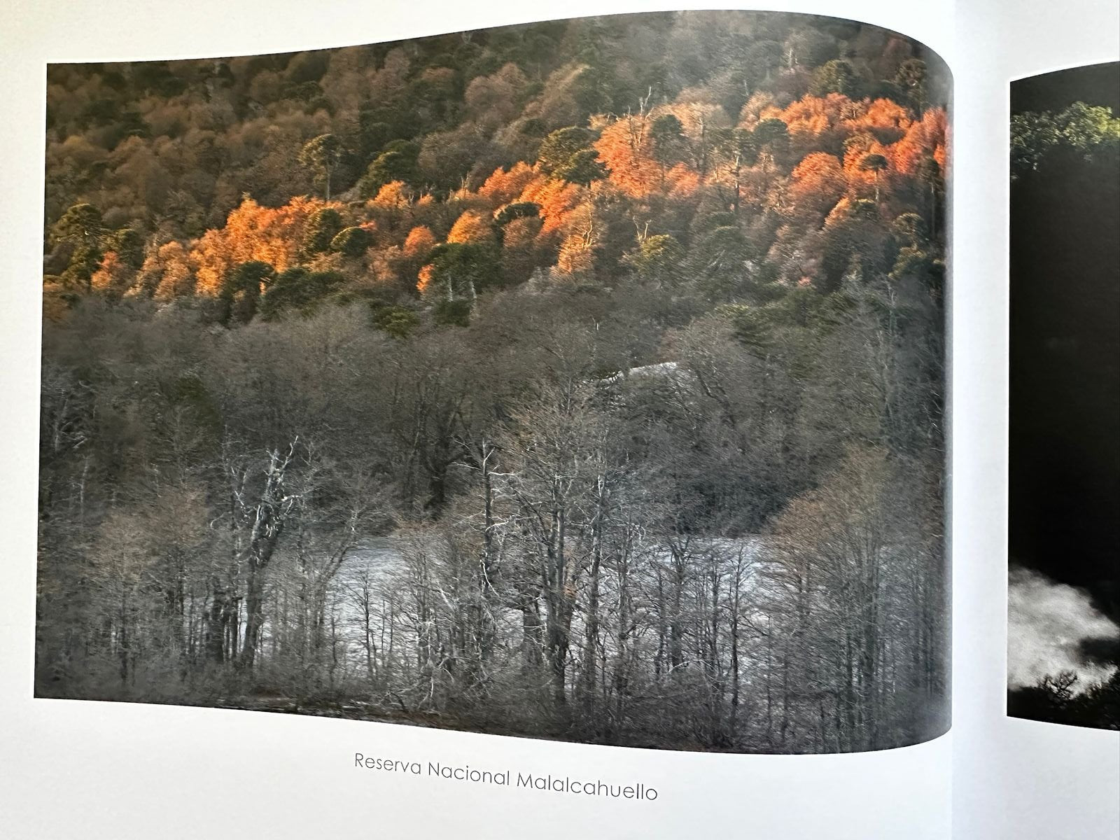 Libro EntreLuces Chile