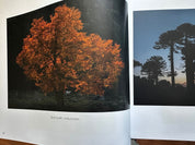 Libro EntreLuces Chile