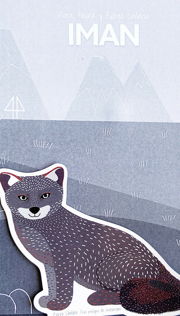 ZORRO CHILOTE POST REEL