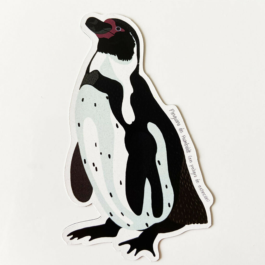 post iman Pinguino H