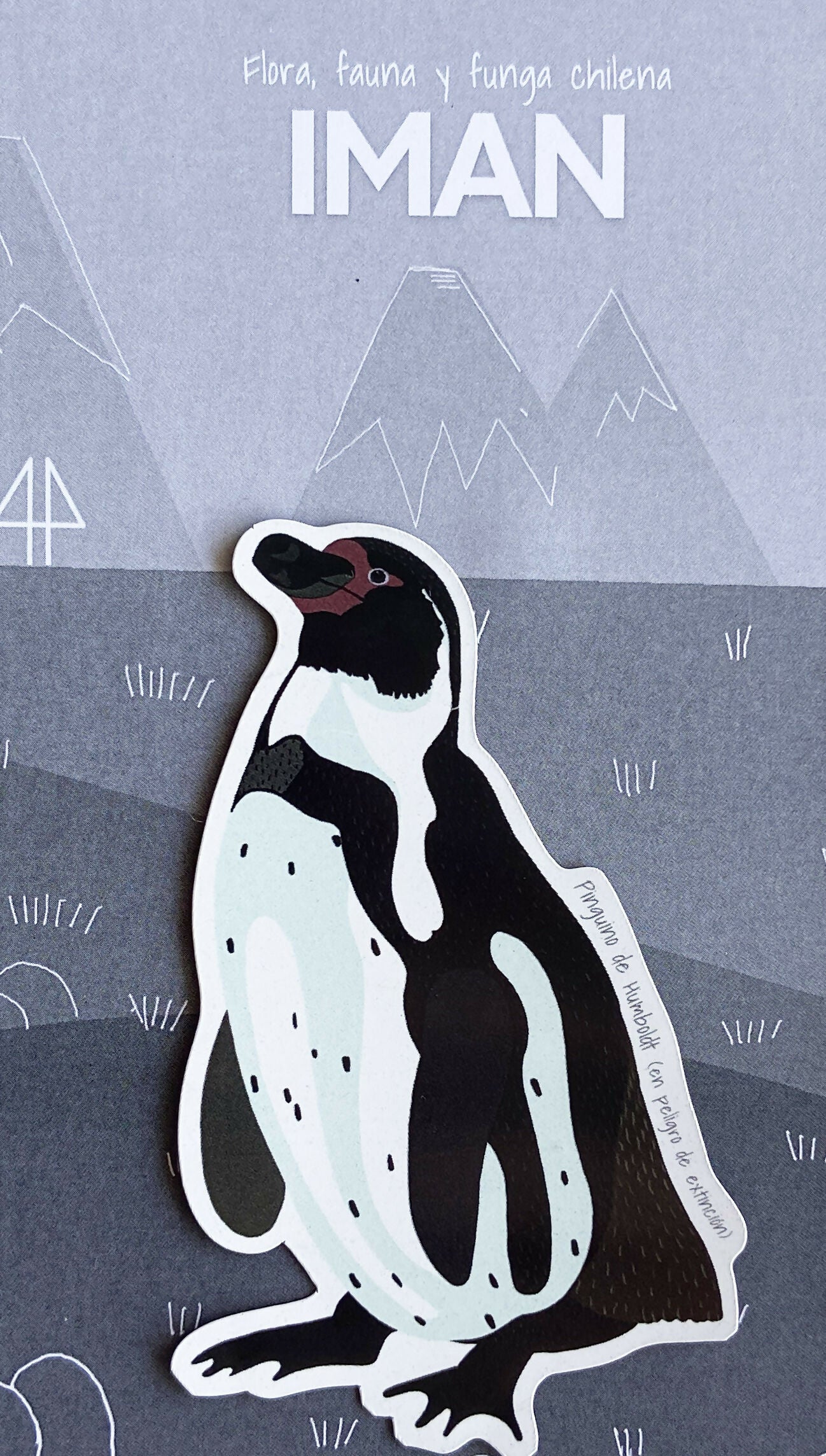 Iman Pinguino de Humboldt