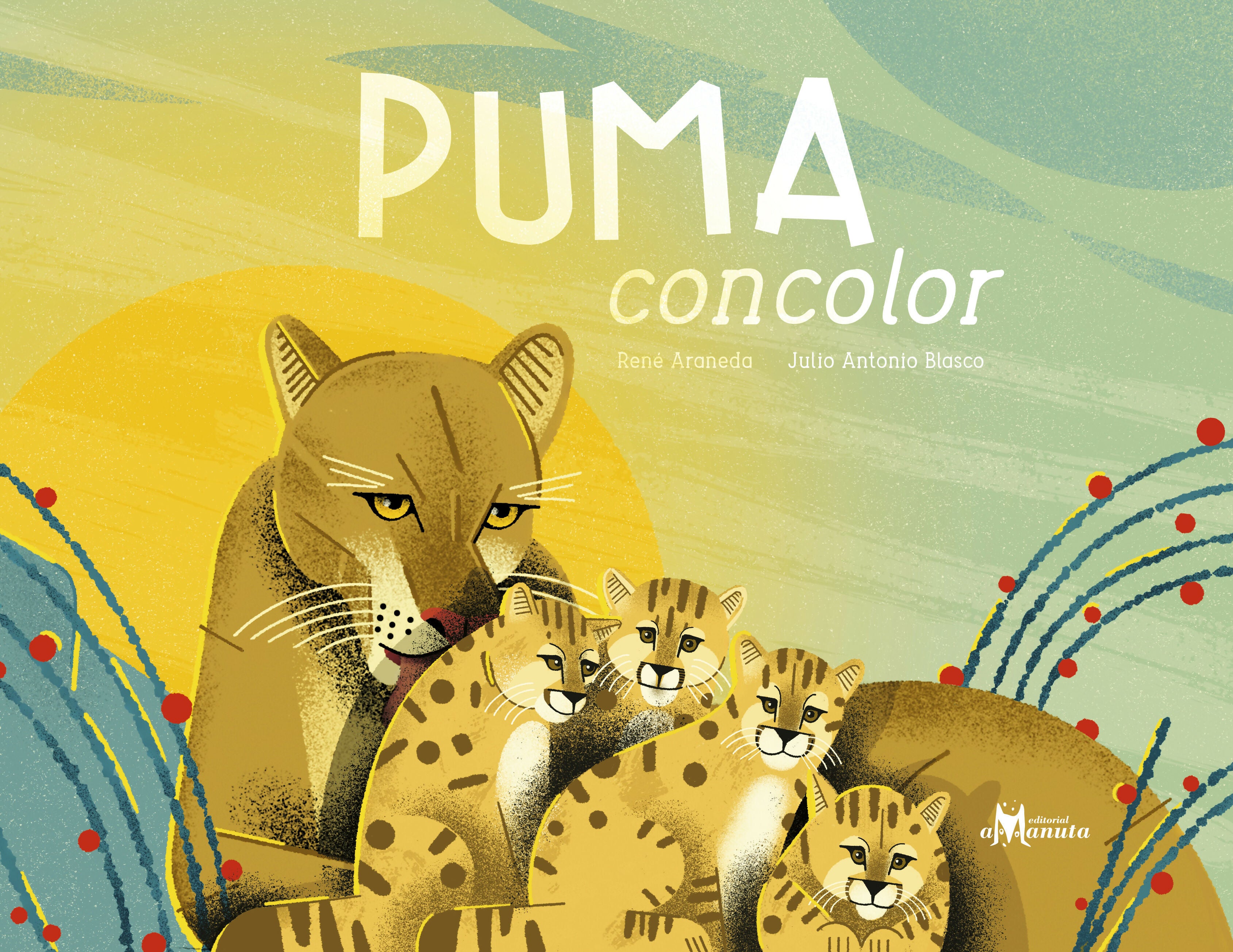 puma-concolor-alta