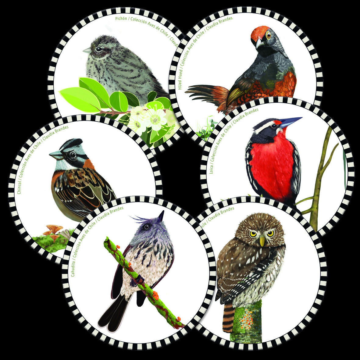 Post pajaros 2 posavasos copia2