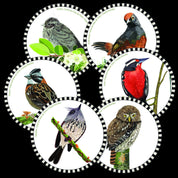 Post pajaros 2 posavasos copia2
