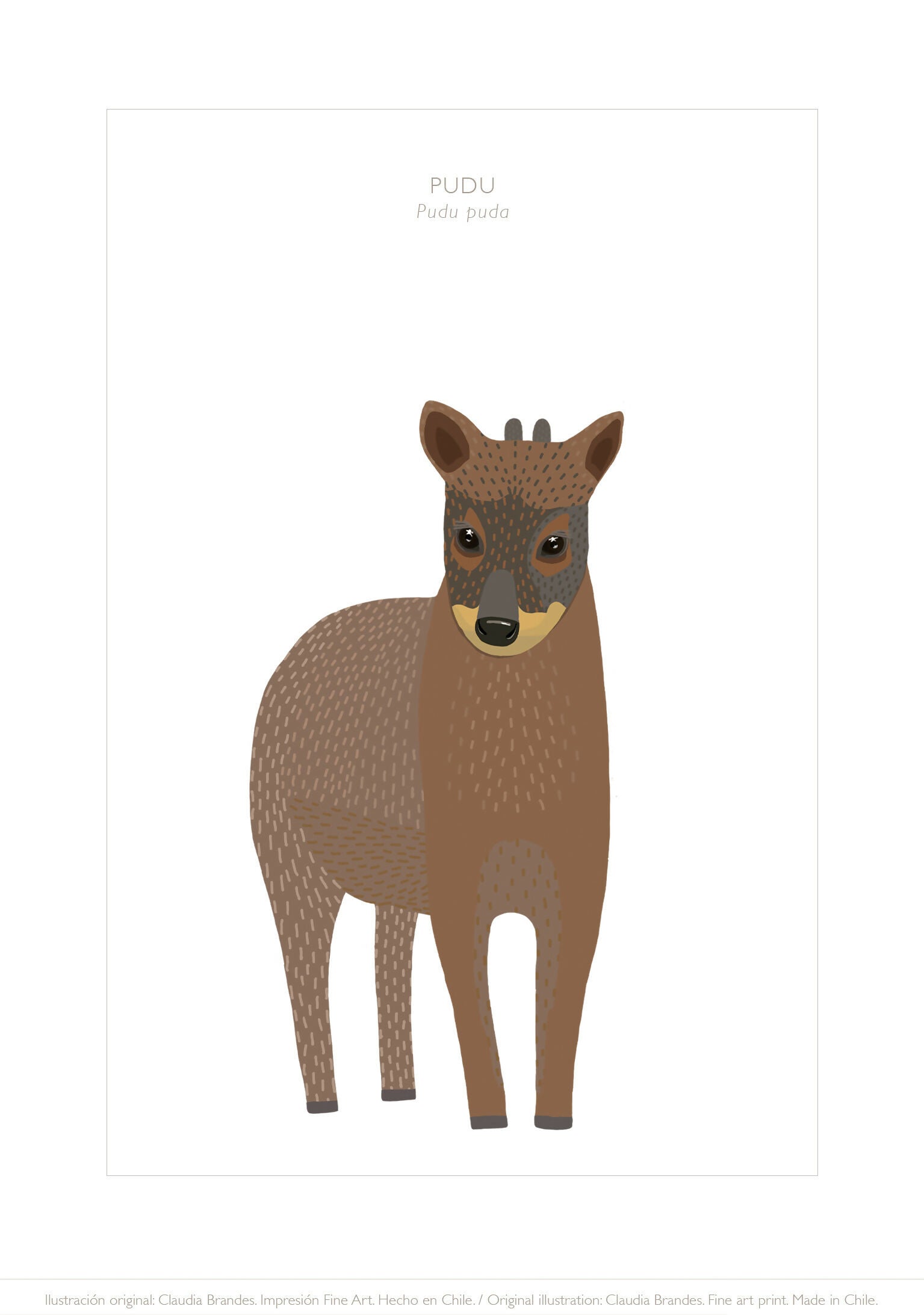 13X18 PUDU LAMINA