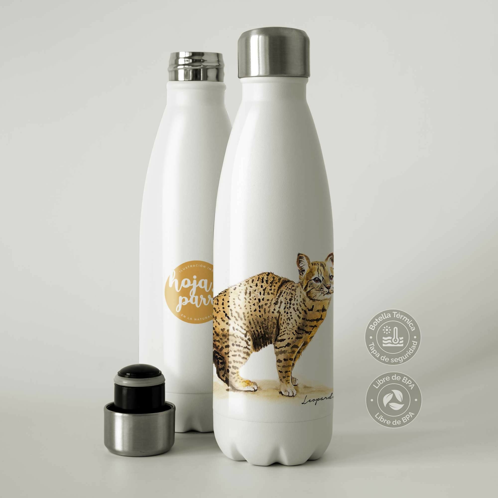 botella-termica-gato-colocolo