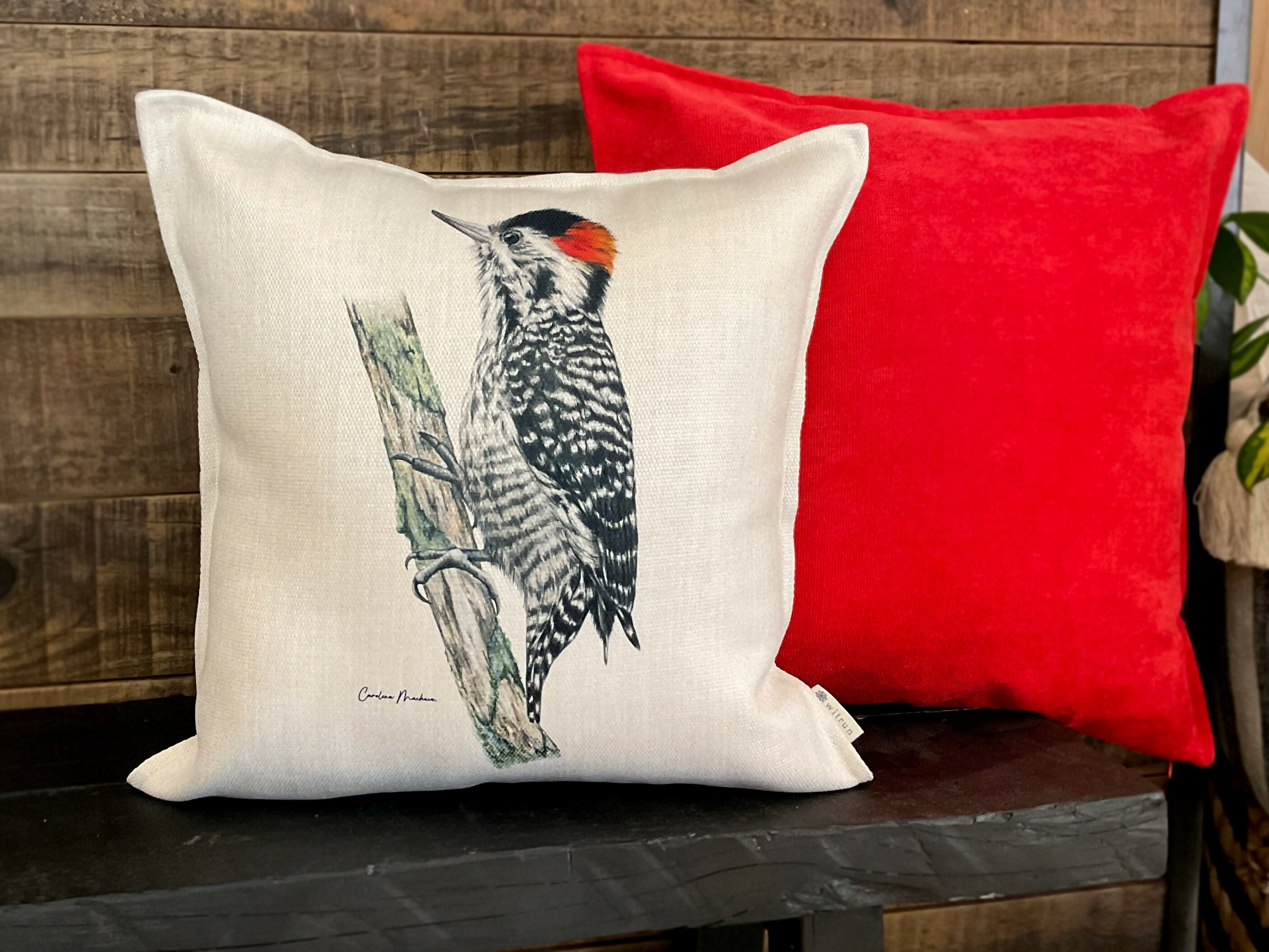 cojin_carpinterito nuevo