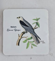 Set de 6 Posavasos Cuadrados Aves de Chile - Claudio Gay