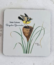 Set de 6 Posavasos Cuadrados Aves de Chile - Claudio Gay