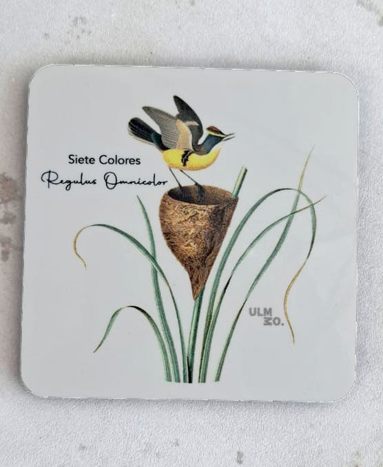 Set de 6 Posavasos Cuadrados Aves de Chile - Claudio Gay