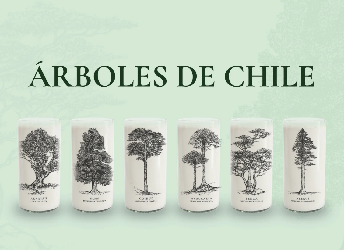 Juego de 6 Vasos Árboles de Chile