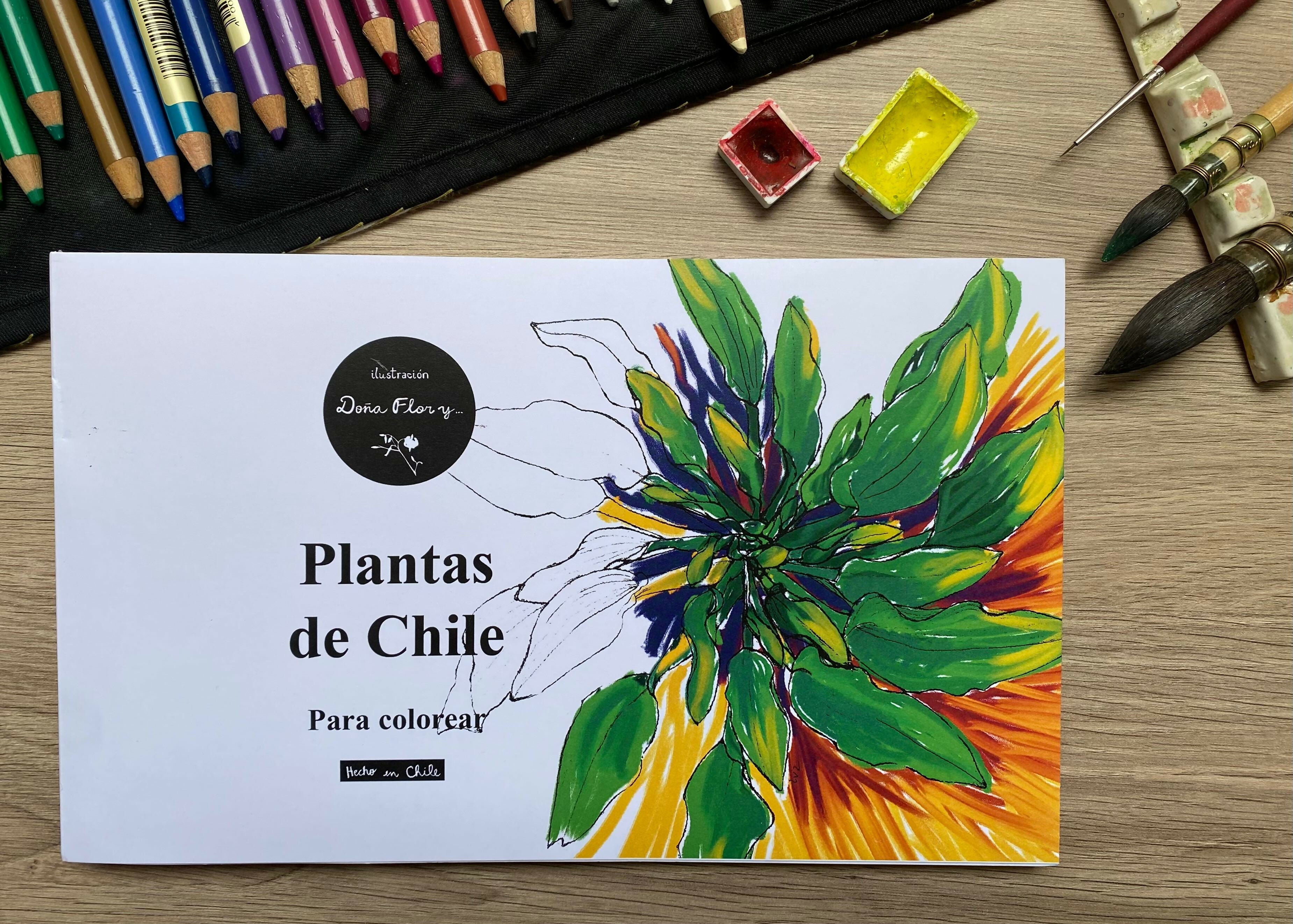 WhatsApp Image 2024-12-06 at 2.15.16 PM