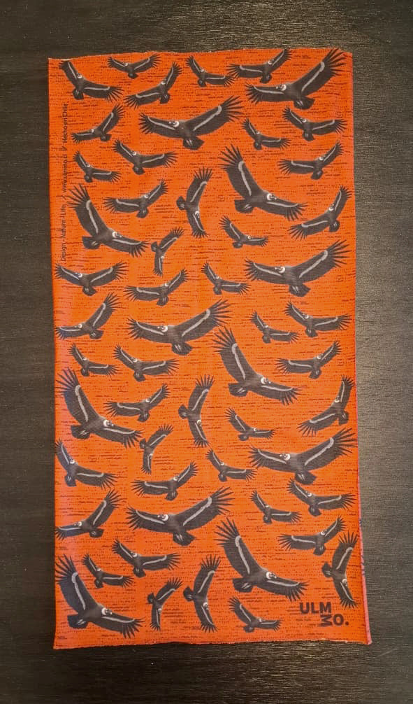 BANDANA CONDOR ULMMO
