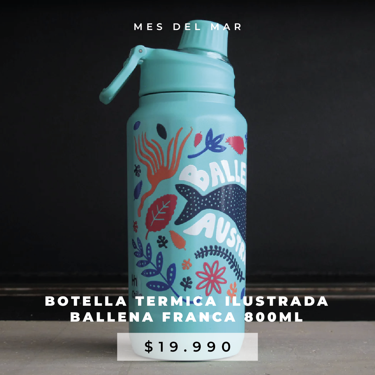 botell_Mesa_de_trabajo_1_copia_37.png