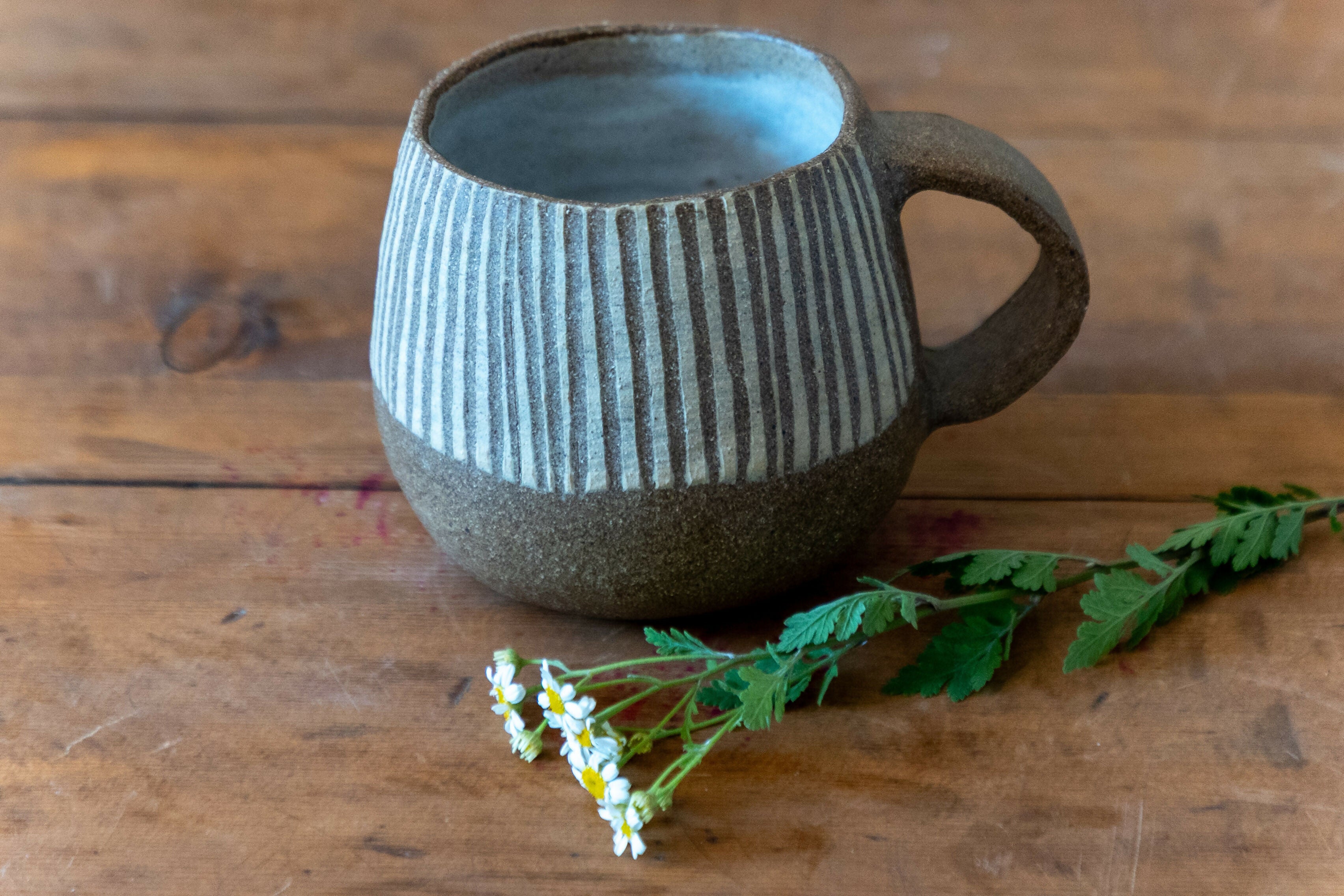 Tazón Engobe Blanco