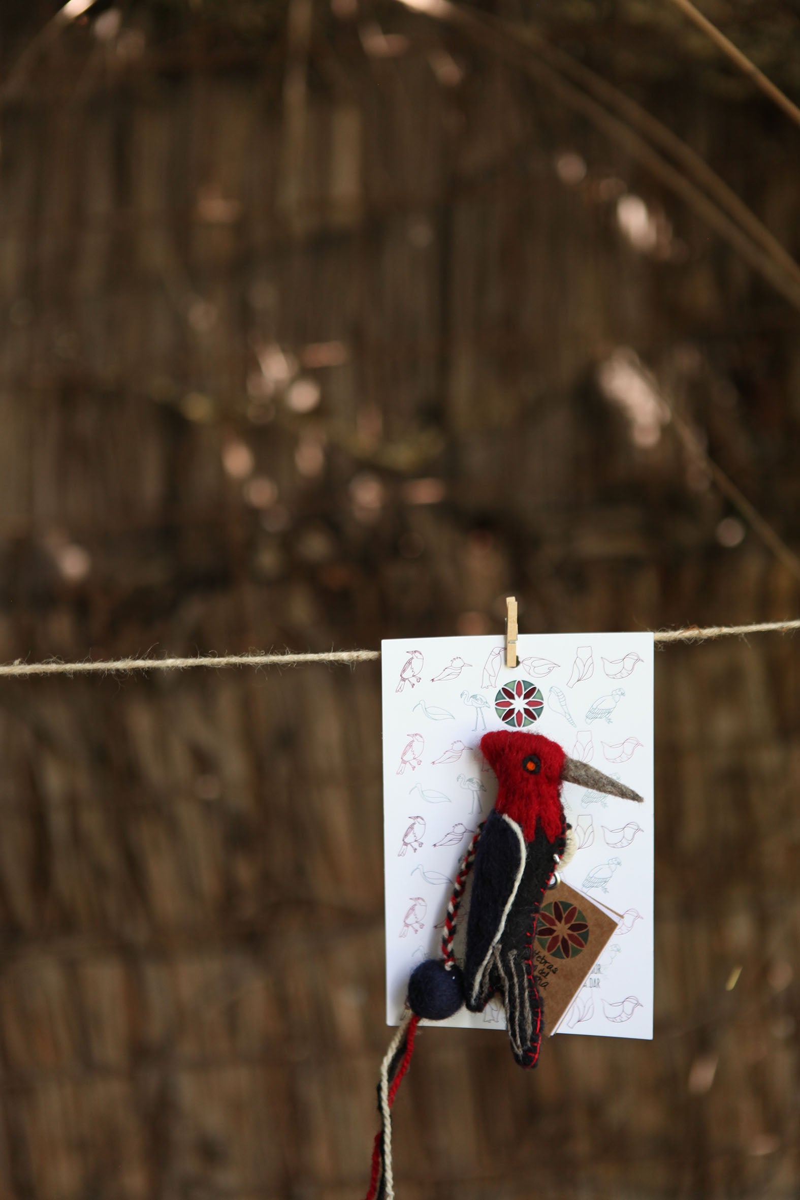 Pajarito prendedor carpintero Negro