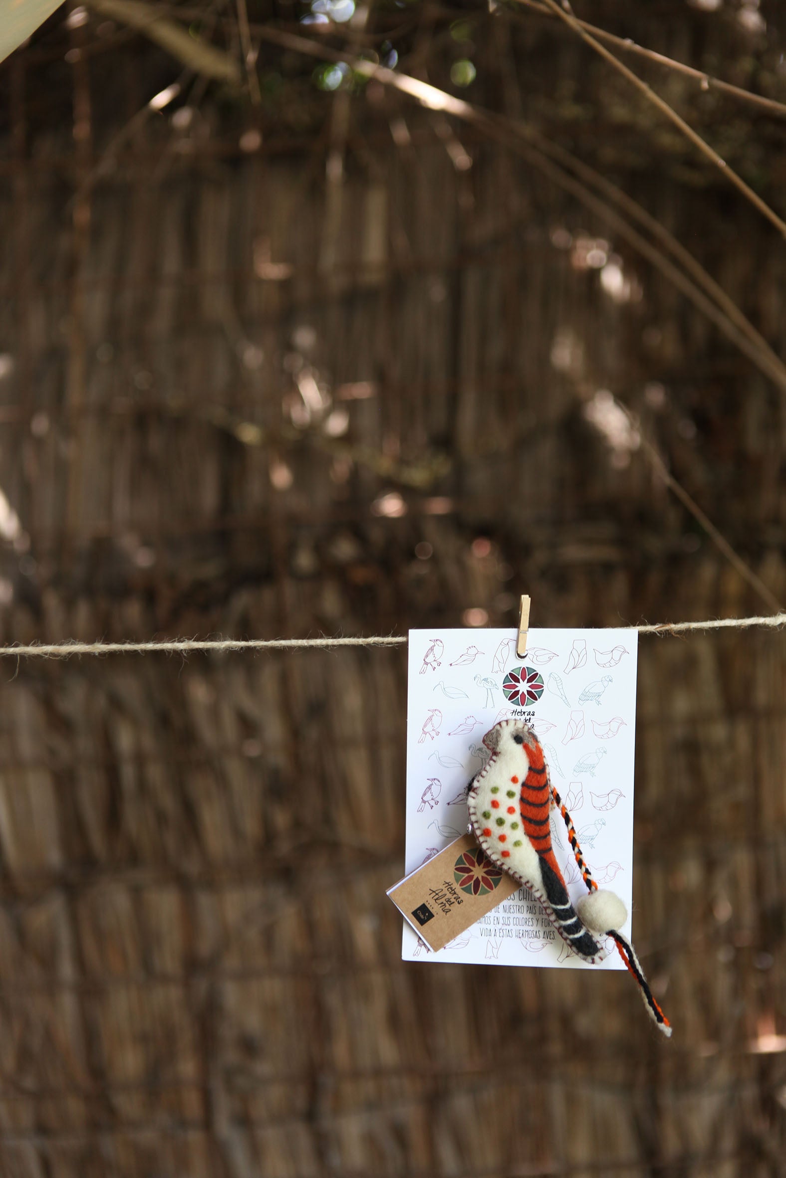 Pajarito marca libro Cernicalo Blanco