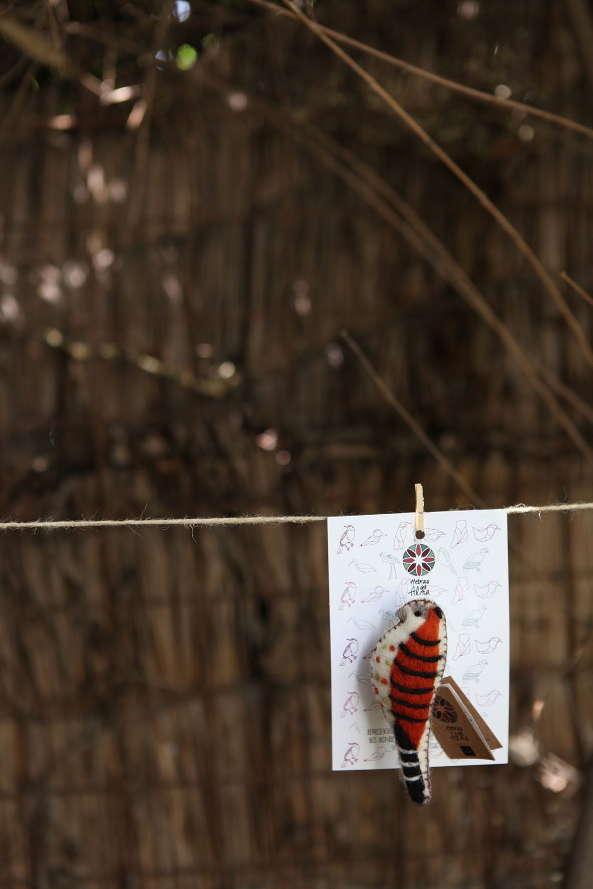Pajarito prendedor Cernicalo Blanco
