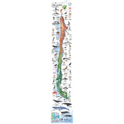 MAPA CHILE Y EL MAR